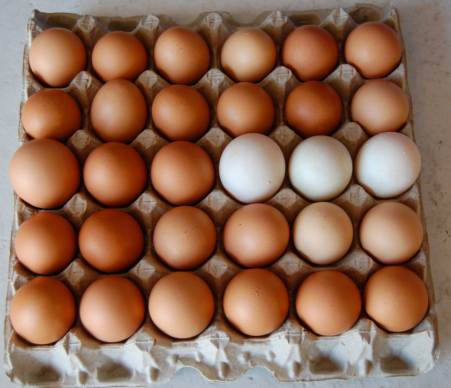 FLAT OF EGGS