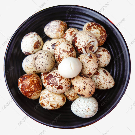 COTURNIX QUAIL EGGS