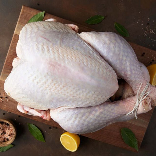 HERITAGE BLACK SPANISH TURKEY