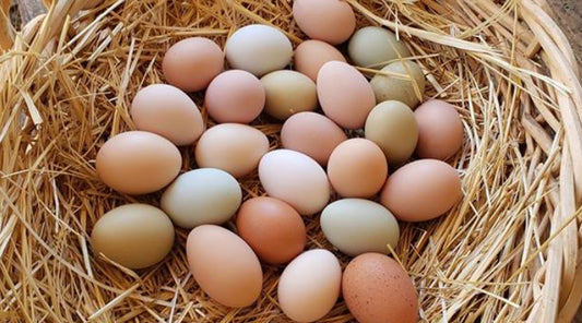 FARM FRESH EGGS